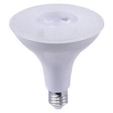 1,050 Watt | 4000K | PAR38 | LED FL