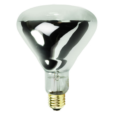 250W | BR40 | HEAT LAMP | INDOOR
